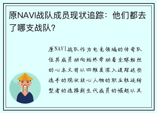 原NAVI战队成员现状追踪：他们都去了哪支战队？